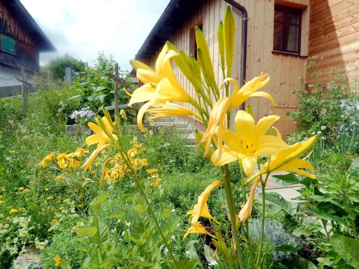 Berggasthof Sonne Allgaeu Sonthofen Εξωτερικό φωτογραφία