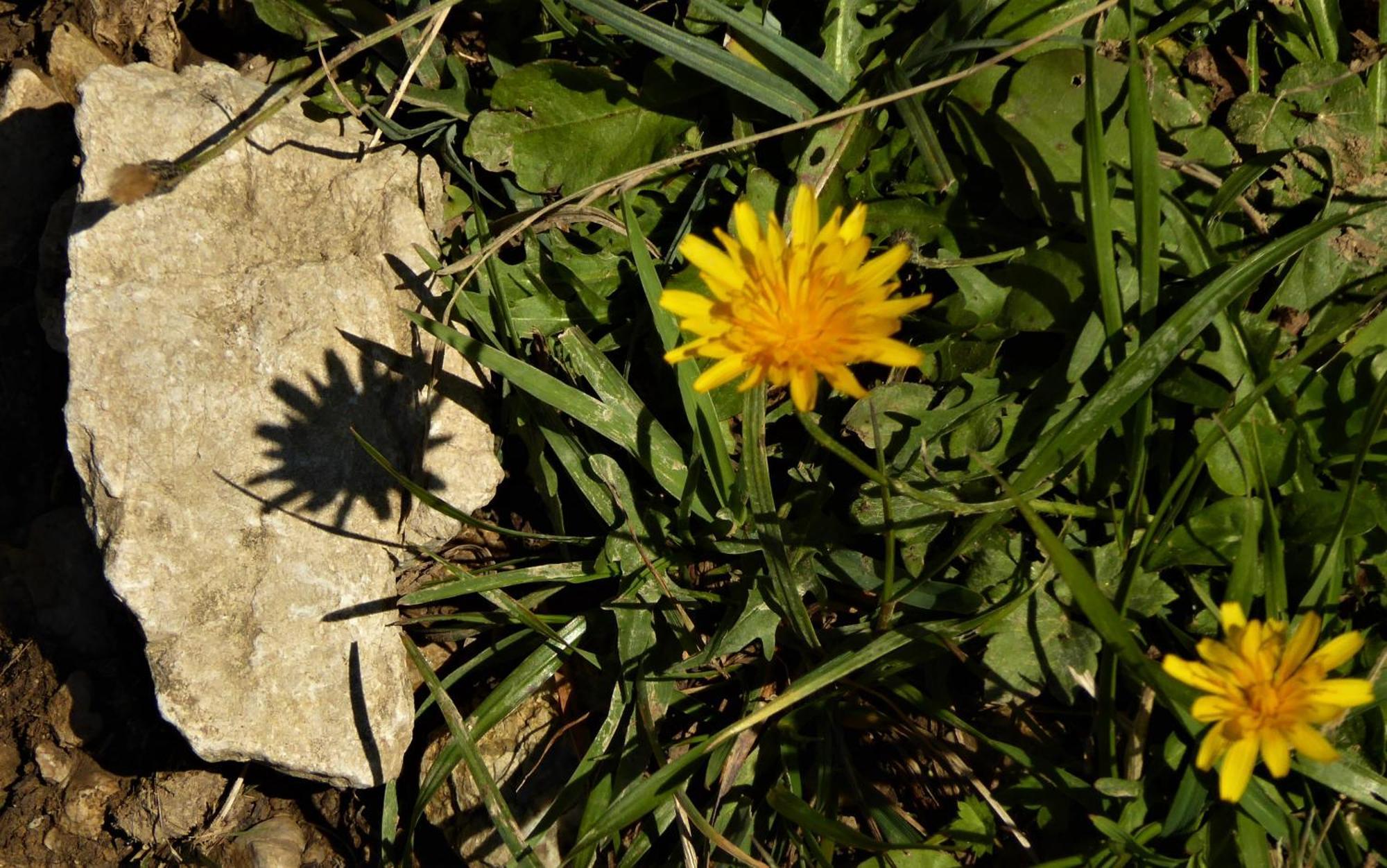 Berggasthof Sonne Allgaeu Sonthofen Εξωτερικό φωτογραφία